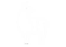 ialleite